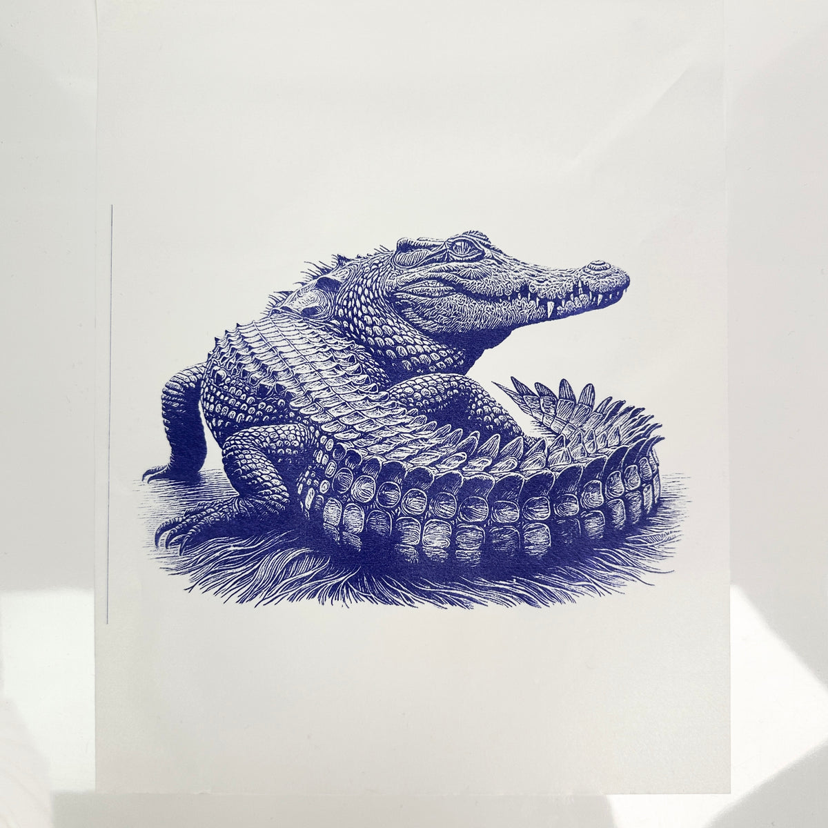 AXON Tattoo Transfer Paper